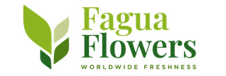 FAGUA FLOWERS INTL LLC