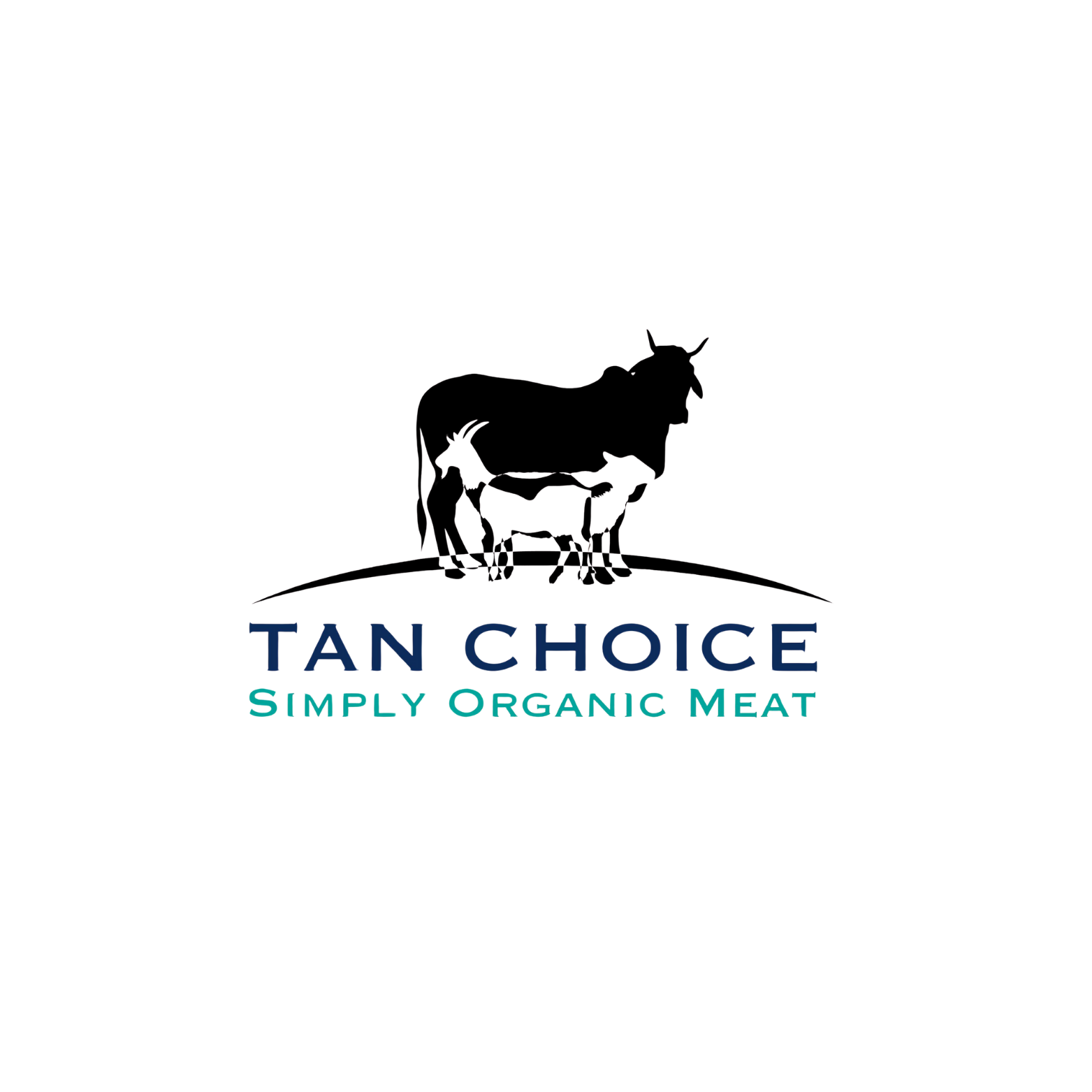 Tan Choice Limited
