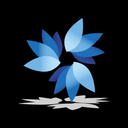Blue Flower