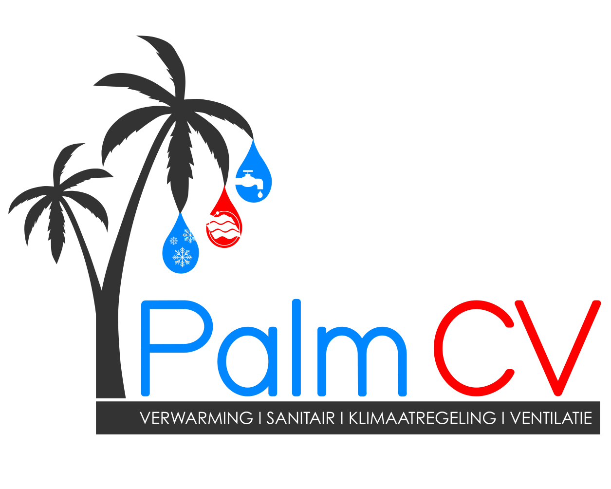 Palm CV