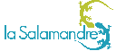 la Salamandre, Florence Bergé