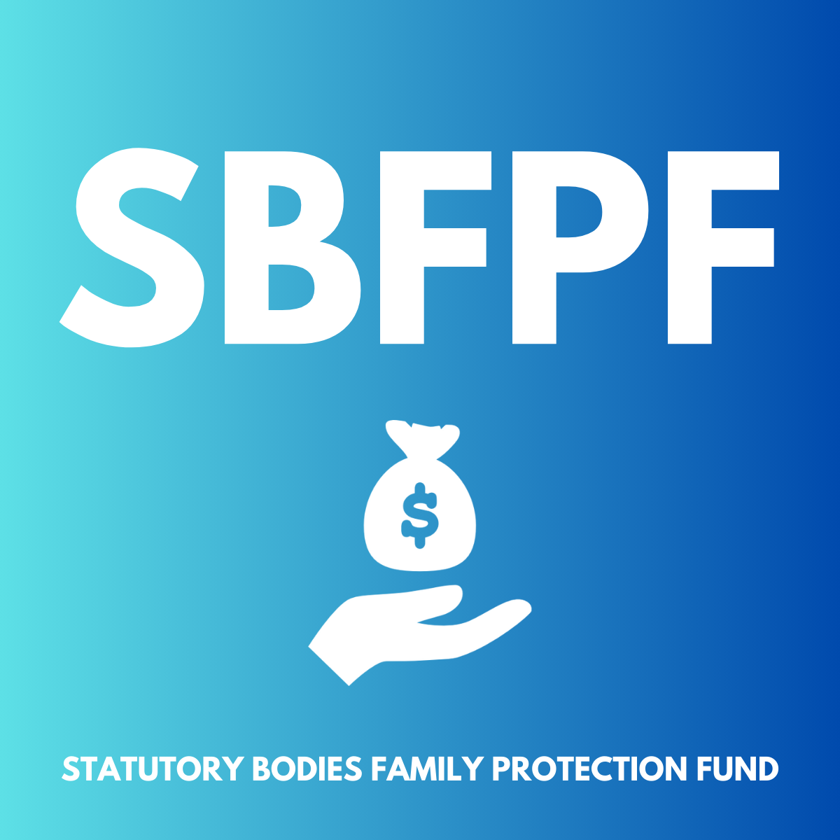 Statutory Bodies Family Protection Fund