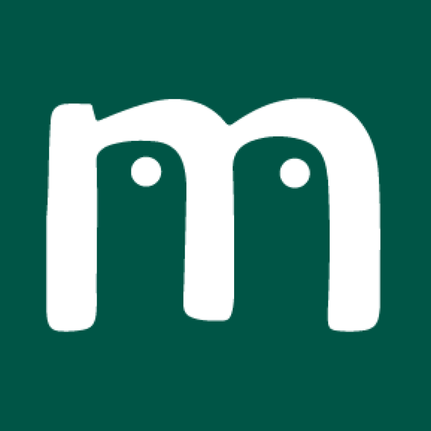 CONSULTORA MENZE