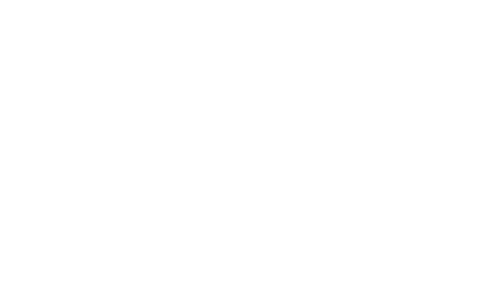 Mobile Data Services