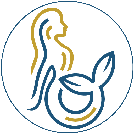 Mermaid S.r.l.