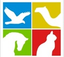 FIRST PHARMA VET MEDICINES & EQUIPMENT TRADING L.L.C