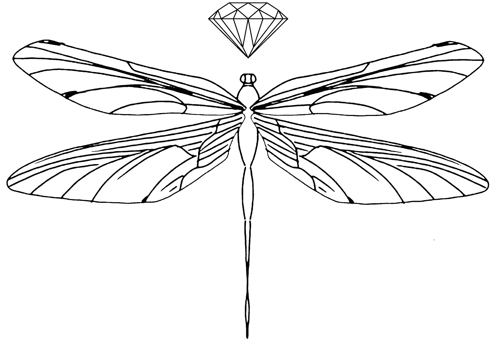 Libelula de Cristal