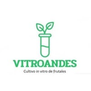 Vitroandes