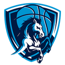 S.S. NAPOLIBASKET S.R.L