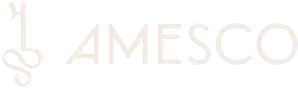 AMESCO AG