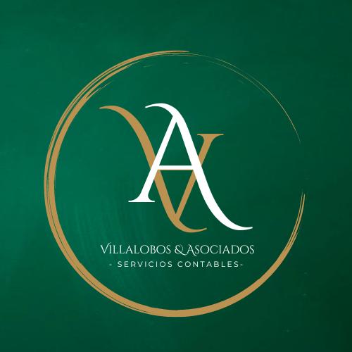 Villalobos y Asociados, Melissa Villalobos