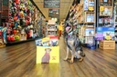 Pet Products
