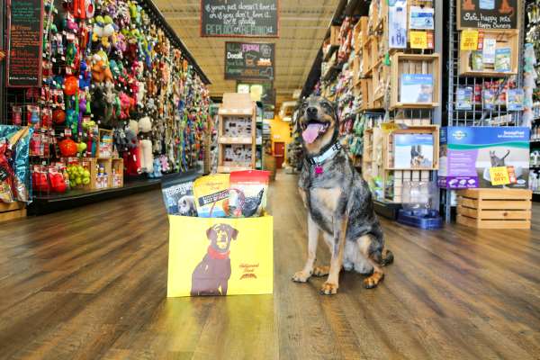 Pet Products