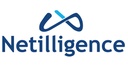 Netilligence Business System LLC