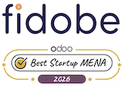 Fidobe Solutions LLC