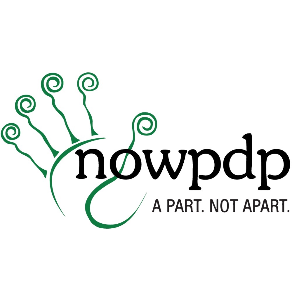 NOWPDP