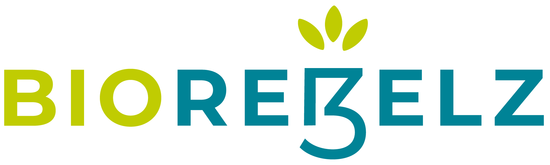 Rebelz Food Group BV