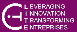 Lite Consulting