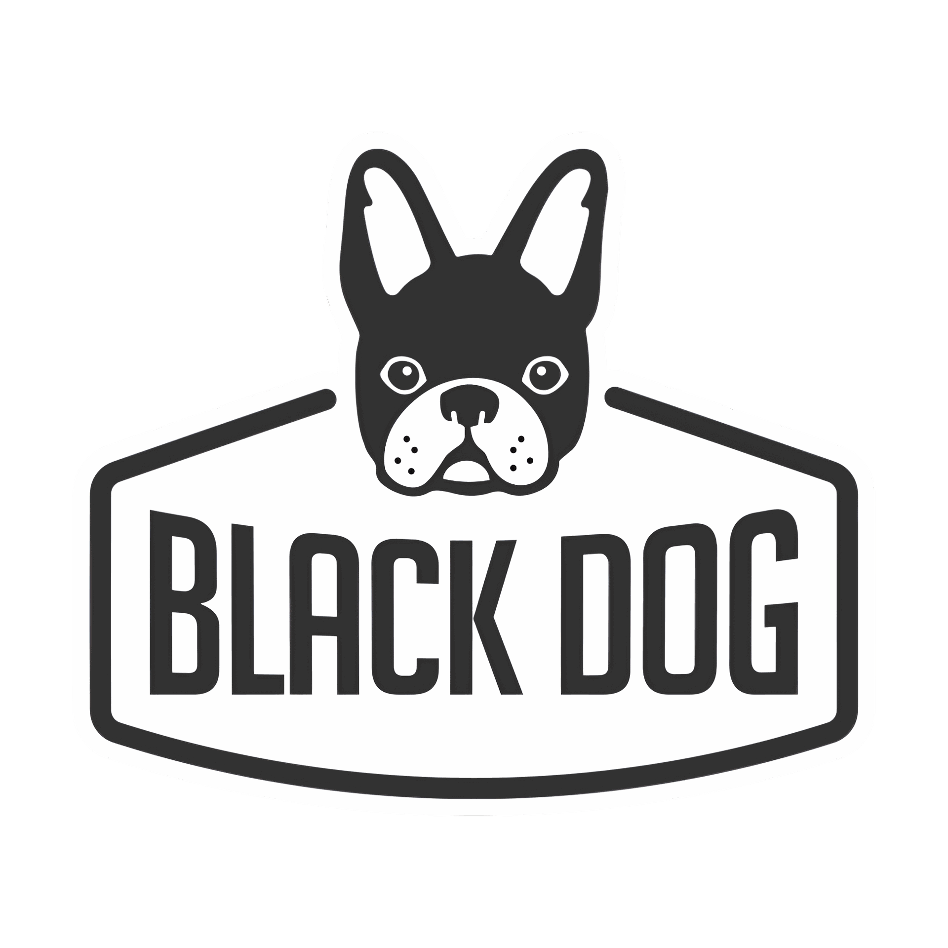 Black Dog