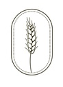 Al Qamh Company