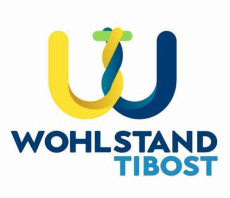 GRUPO WOHLSTAND TIBOST, C.A