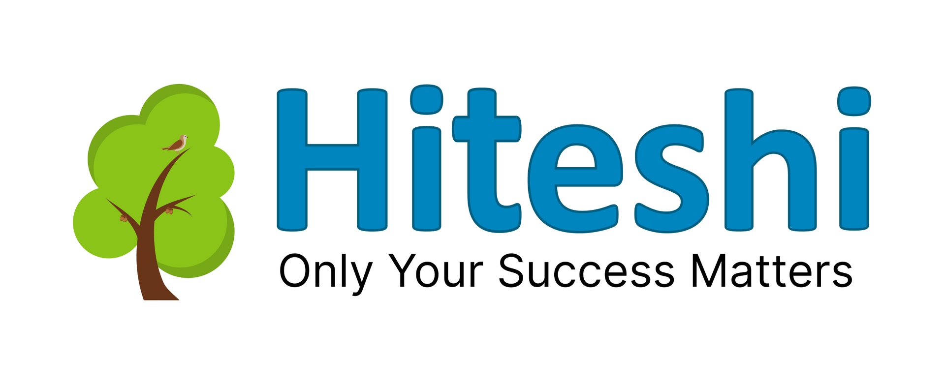 HITESHI INFOTECH PRIVATE LIMITED