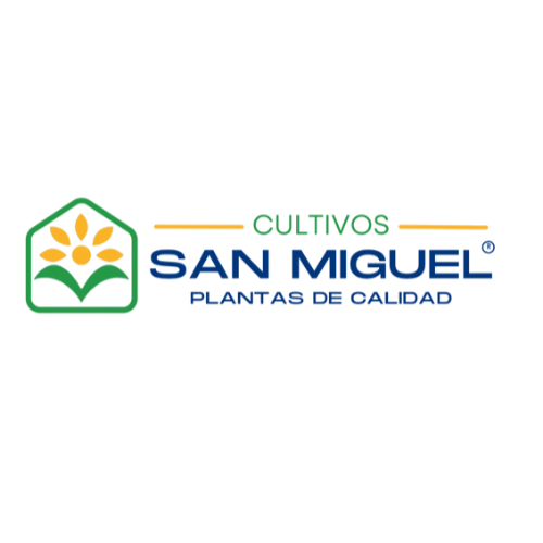 Cultivos San Miguel, Llojan Cachupe