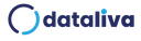 Dataliva Bilişim Hizmetleri A.Ş.