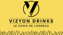 VYZION SRL