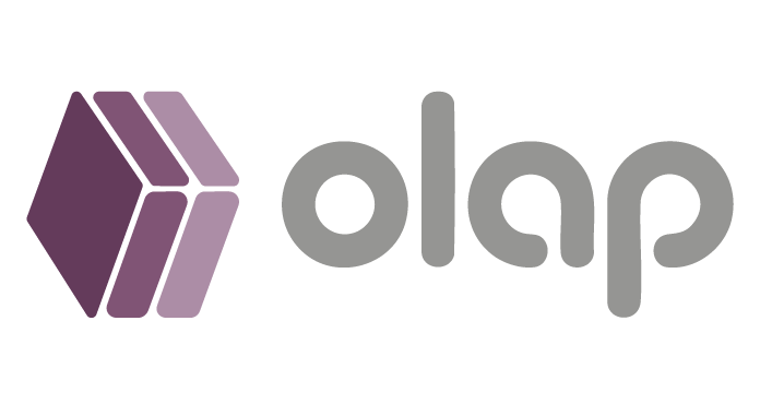 OLAP DIGITAL SOLUTIONS L.L.C - 1231803