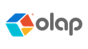 OLAP DIGITAL SOLUTIONS L.L.C - 1231803