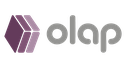 OLAP DIGITAL SOLUTIONS L.L.C