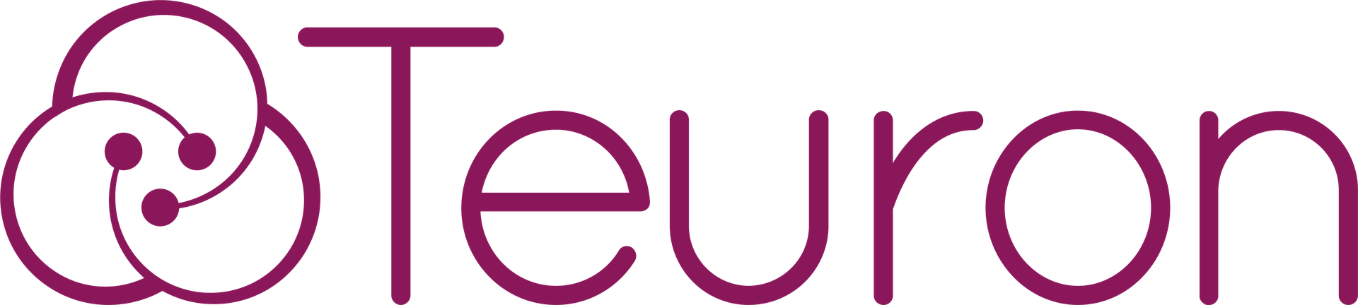 Teuron S.r.l.