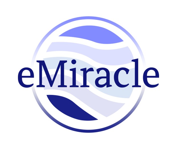 Emiracle Stores