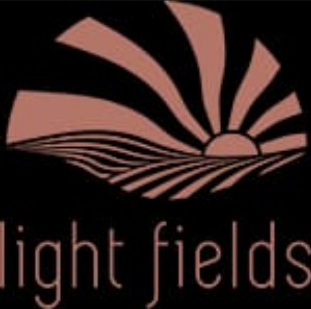 Light fields