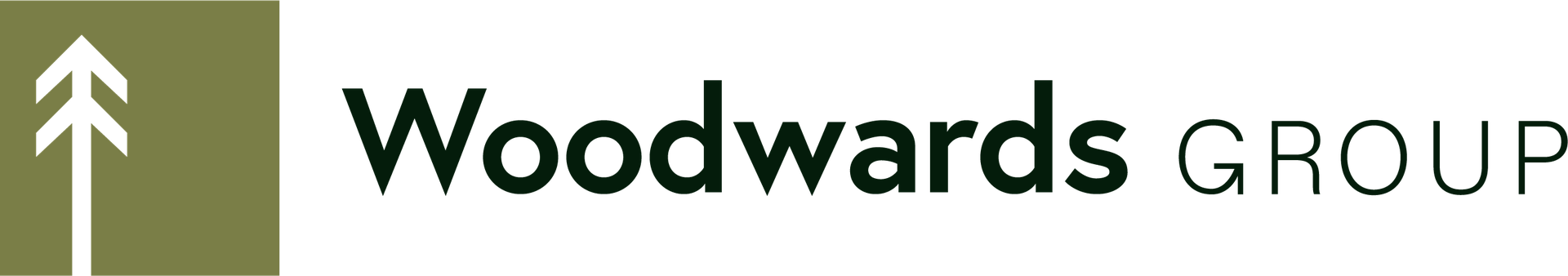 WOODWARDS HOLDING B.V.