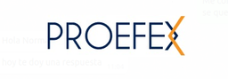 PROEFEX S.A.C.
