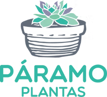 Páramo CM de Costa Rica S.A.