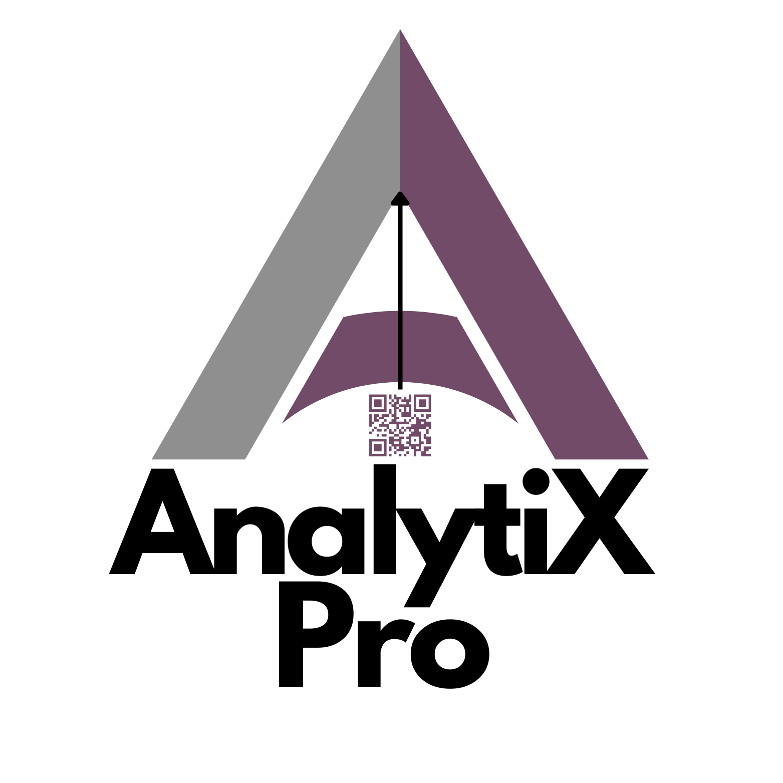 9531-8622 Quebec Inc. (AnalytiX Pro)