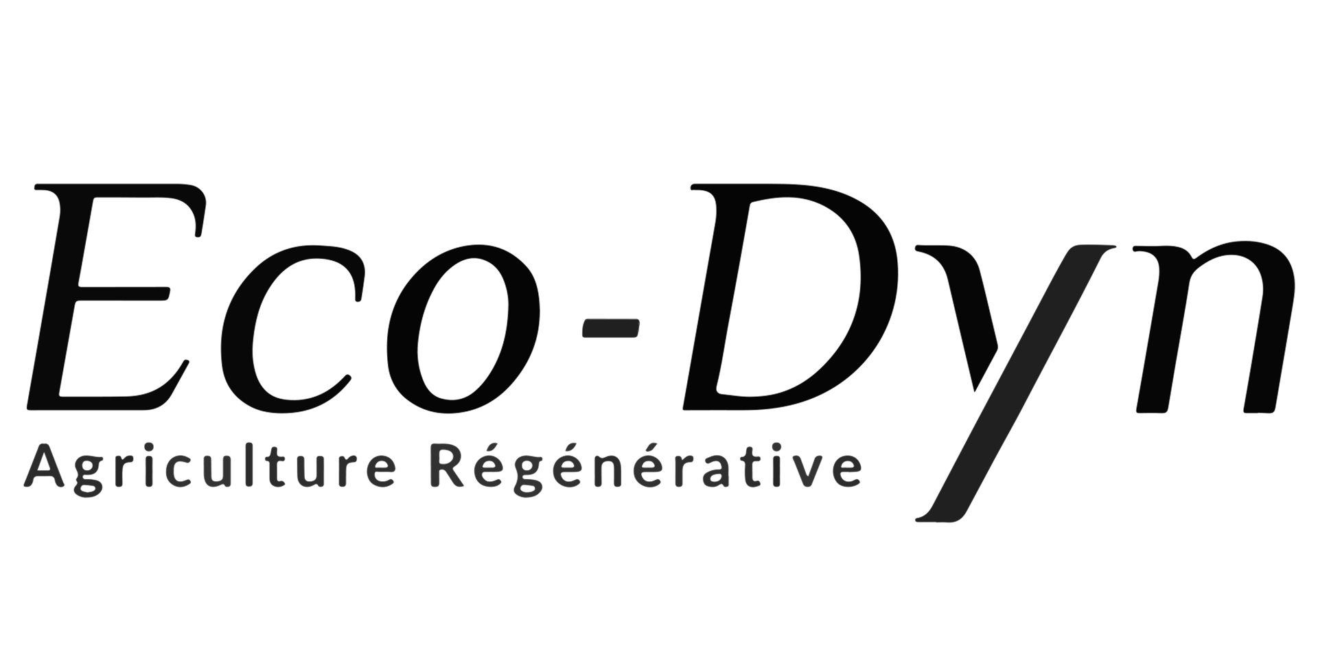 Ecodyn International