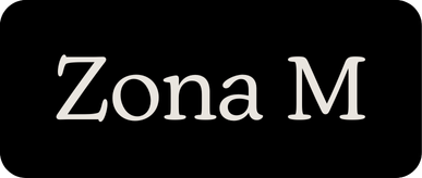 ZONA M S.R.L.