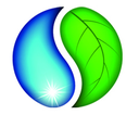 The World Foods Co., Ltd