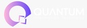 Quantum Information Technology