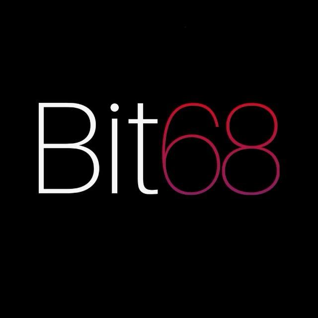 BIT SIXTY EIGHT SOFTWARE SERVICES L.L.C