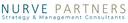 Nurve Partner LLC