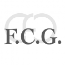 FCG Réviseurs d'Entreprises SRL