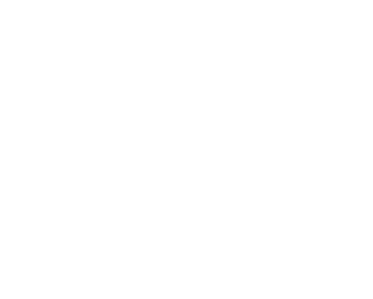 O C G OMNIA GENERAL TRADING L.L.C