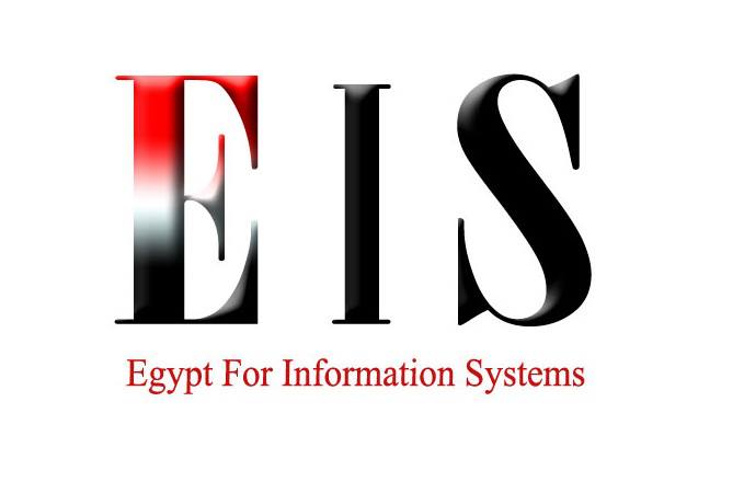 شركة مصر لنظم المعلومات