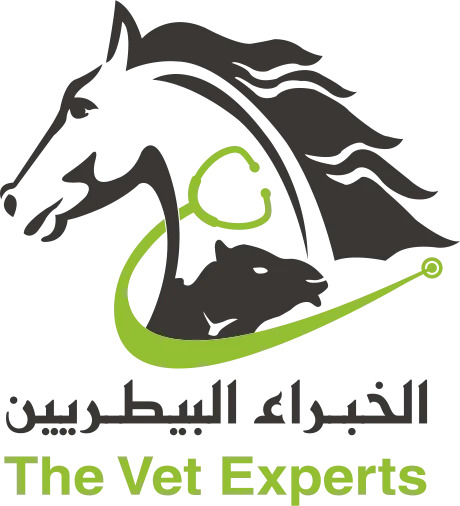 The veterinary experts