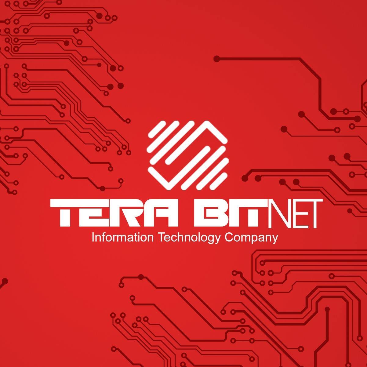 TERABIT NET LLC